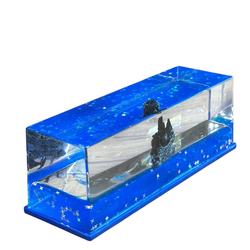 بطری آکواریومی