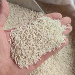 برنج زرددم اشرافی آستانه اشرفیه(10کیلویی)