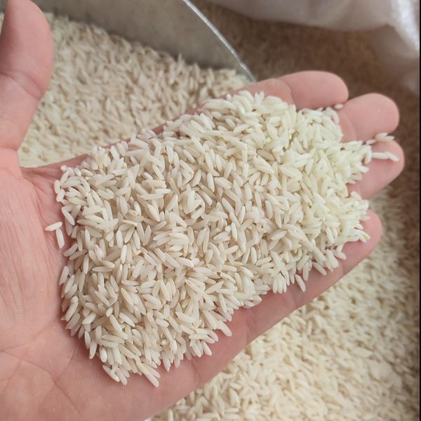 برنج زرددم اشرافی آستانه اشرفیه(10کیلویی)