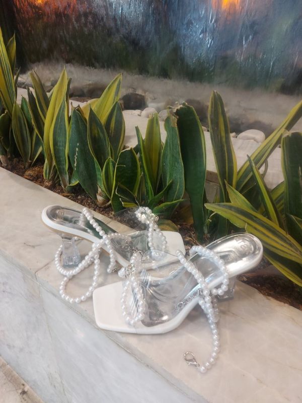 مجلسی تسبیحی مچی