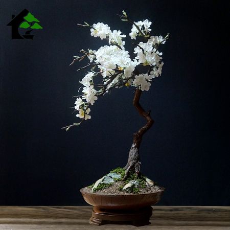 درختچه نیمه مصنوعی شکوفه سیب طرح بونسای 3-1