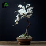 درختچه نیمه مصنوعی شکوفه سیب طرح بونسای 3-1