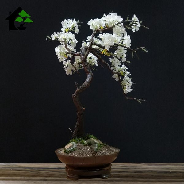 درختچه نیمه مصنوعی شکوفه سیب طرح بونسای 3-1