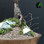 درختچه نیمه مصنوعی شکوفه سیب طرح بونسای 3-1