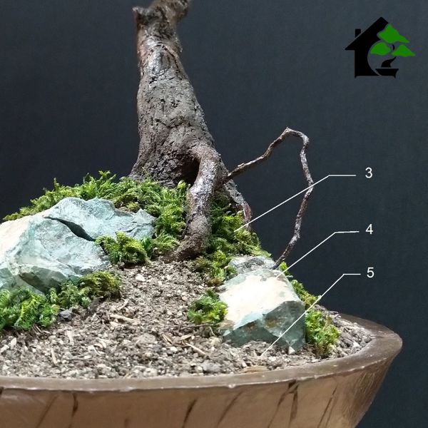 درختچه نیمه مصنوعی شکوفه سیب طرح بونسای 3-1