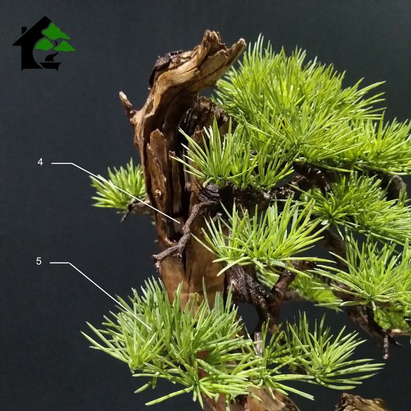 درختچه نیمه مصنوعی کاج طرح بونسای 4-2