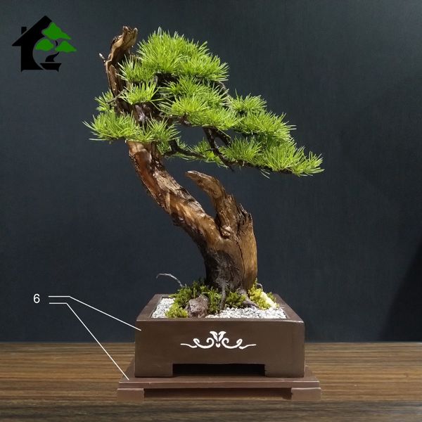 درختچه نیمه مصنوعی کاج طرح بونسای 4-2
