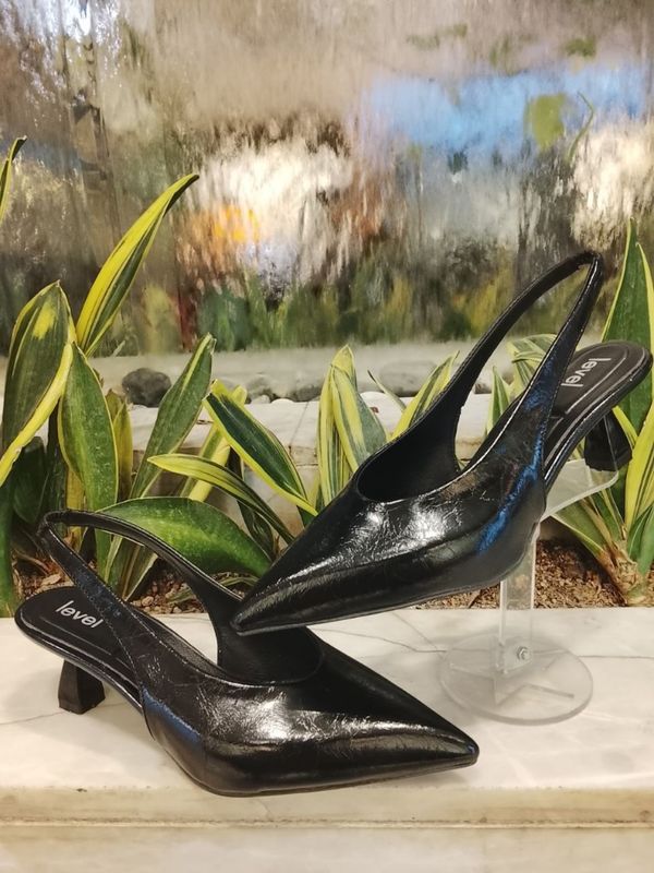 مجلسی پشت باز