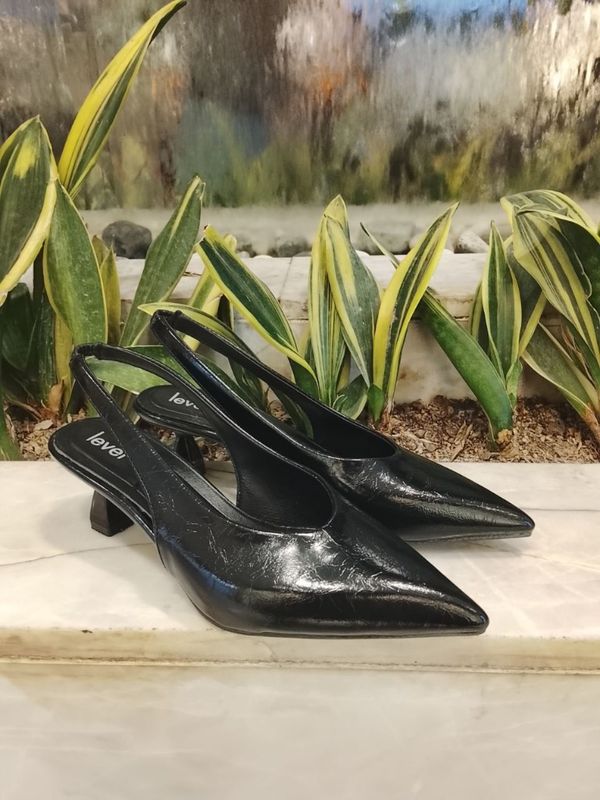 مجلسی پشت باز