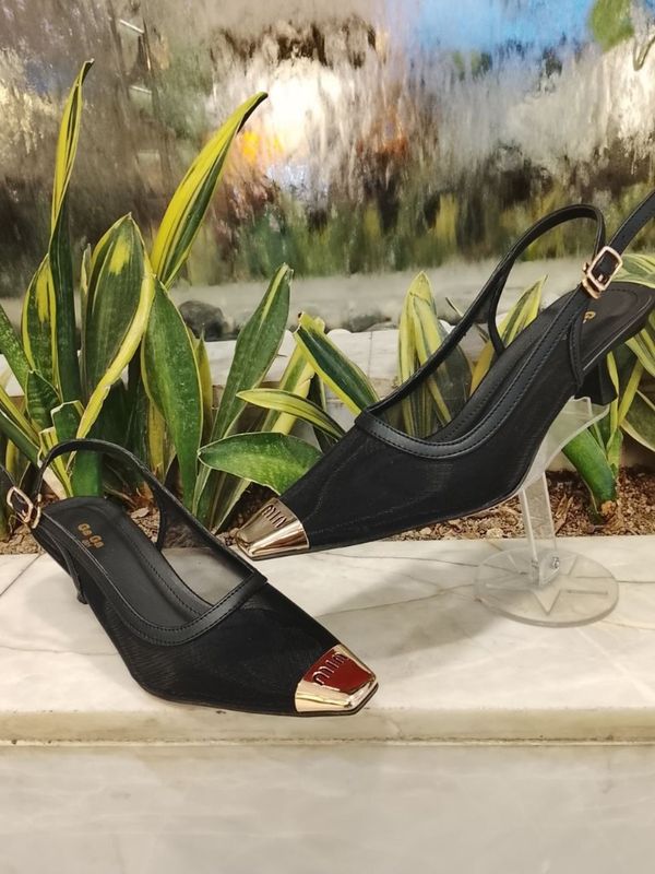 مجلسی میو میو