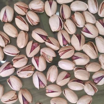 پسته کله قوچی