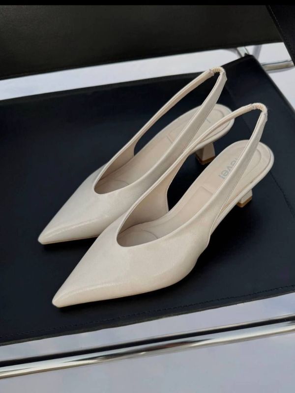 مجلسی پشت باز