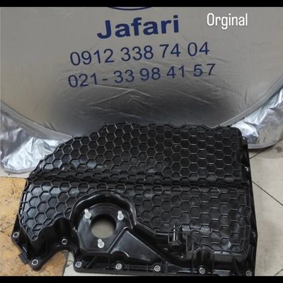 کارتر پلاستیکی  تیگوان و پاسات