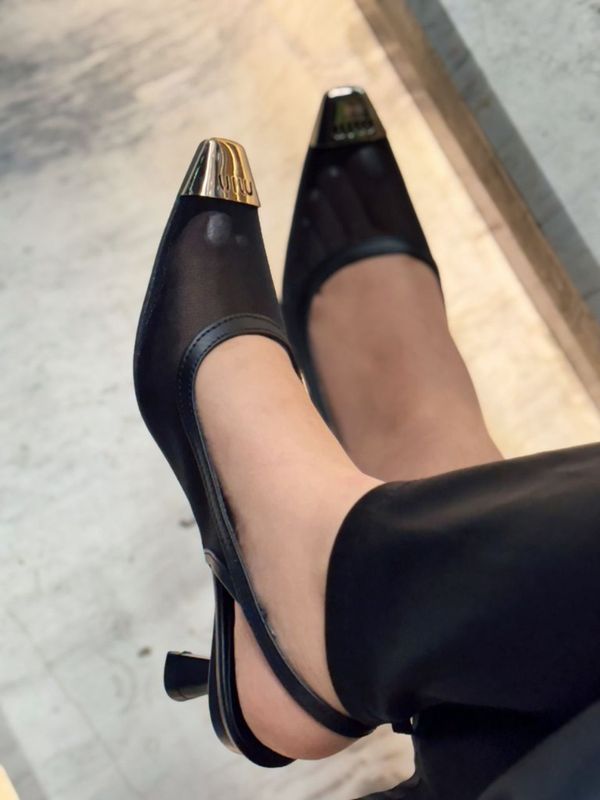 مجلسی میو میو