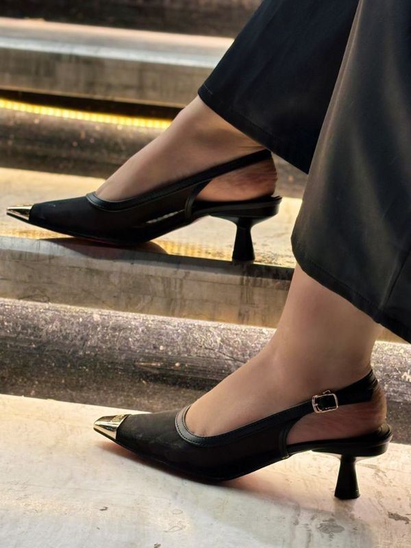 مجلسی میو میو