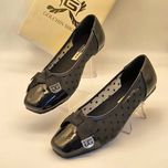 کالج عروسکی توری