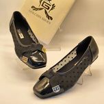 کالج عروسکی توری