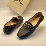 کالج فشیون سگک دار