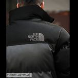 کاپشن 3213