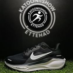Nike pegasus41