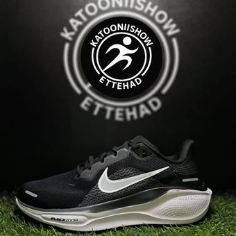 Nike pegasus41