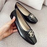 کالج مایکل کورس