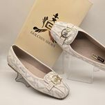 کالج مایکل کورس