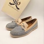 کالج پاپیونی طرحدار