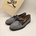 کالج پاپیونی طرحدار