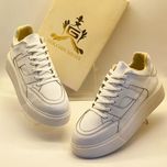 ونس لژدار جذاب