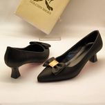 مجلسی پاپیون میو میو