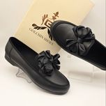 کالج پاپیونی شیک