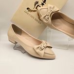 مجلسی پاپیون پروانه ای