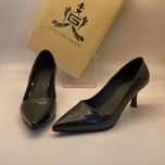 مجلسی پوست ماری