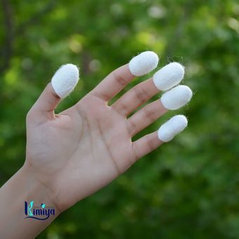 پیله ابریشم