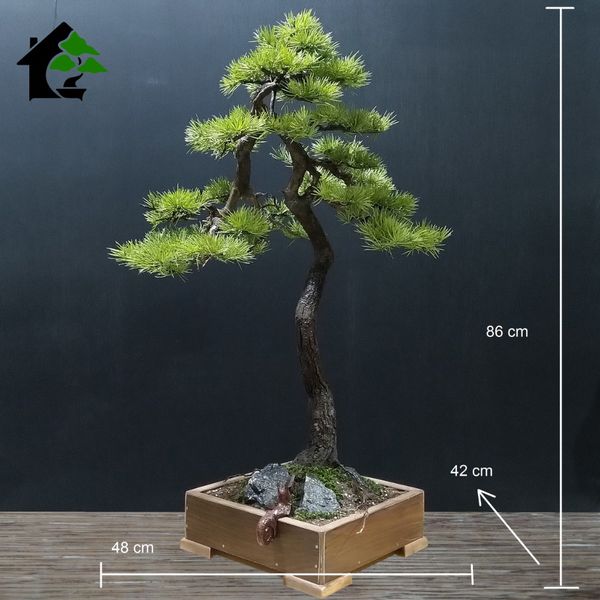 درختچه نیمه مصنوعی کاج طرح بونسای 5-2