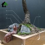 درختچه نیمه مصنوعی کاج طرح بونسای 5-2