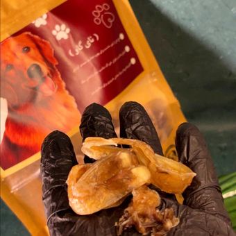 نای حلقه ای گاو