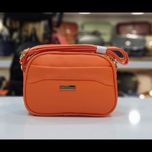 کیف پاسپورتی زنانه مدل دلسا کد 1801