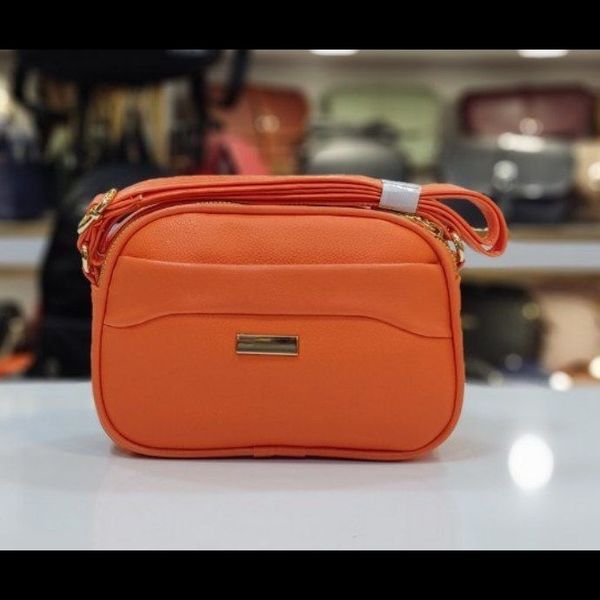 کیف پاسپورتی زنانه مدل دلسا کد 1801