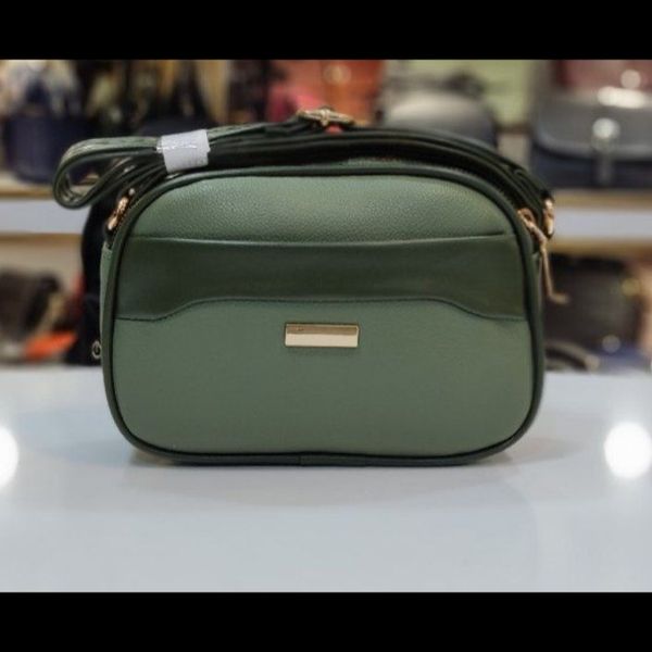 کیف پاسپورتی زنانه مدل دلسا کد 1801