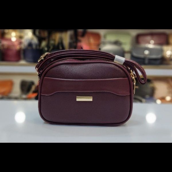 کیف پاسپورتی زنانه مدل دلسا کد 1801