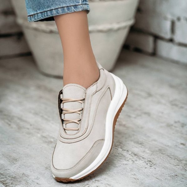 کتونی گوتاما