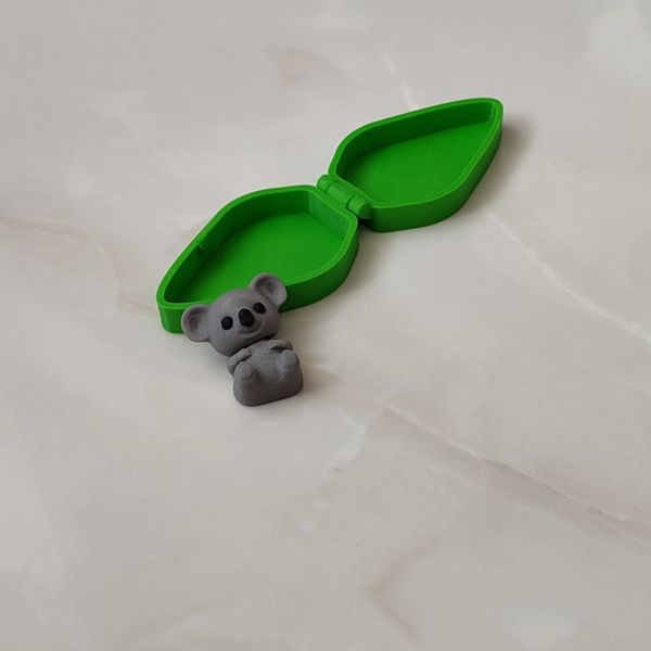 کوالا کوچولو