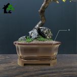 درختچه نیمه مصنوعی شکوفه سیب طرح بونسای 4-1