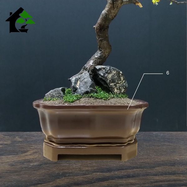 درختچه نیمه مصنوعی شکوفه سیب طرح بونسای 4-1