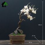 درختچه نیمه مصنوعی شکوفه سیب طرح بونسای 4-1