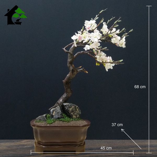 درختچه نیمه مصنوعی شکوفه سیب طرح بونسای 4-1