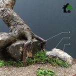 درختچه نیمه مصنوعی شکوفه سیب طرح بونسای 4-1