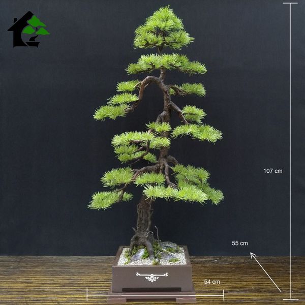 درختچه نیمه مصنوعی کاج طرح بونسای3-2